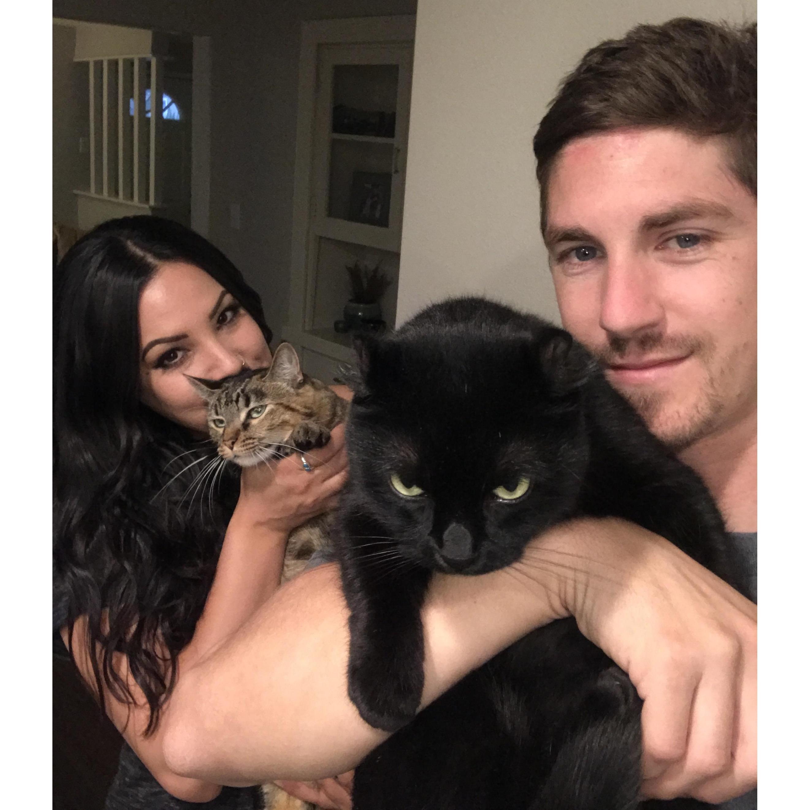 Our Fur-babies <3