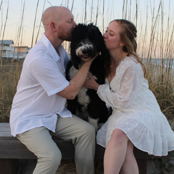 Pet Care During The Wedding!