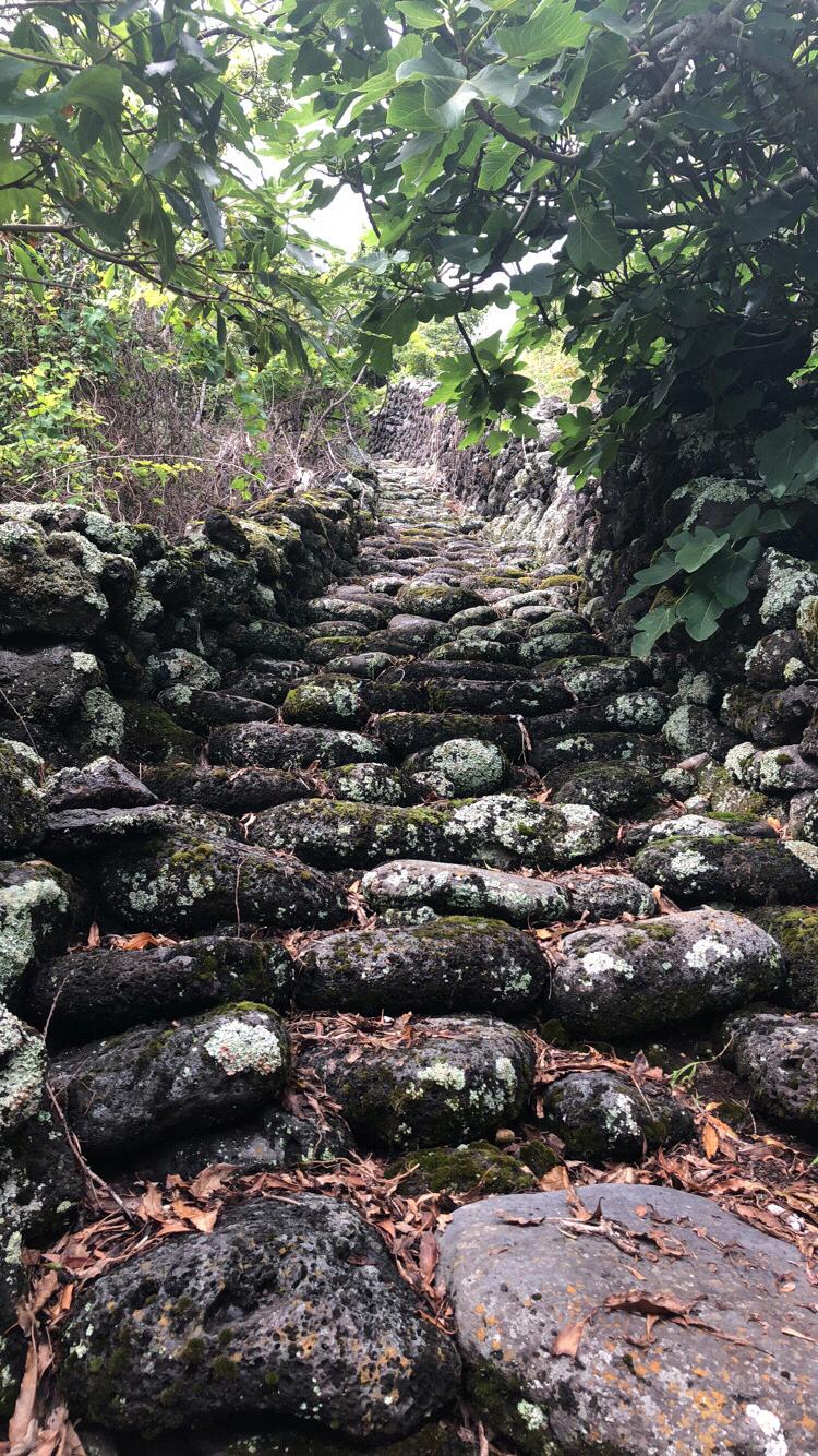 A beautiful set of stairs on Pico Island in Sao Joao