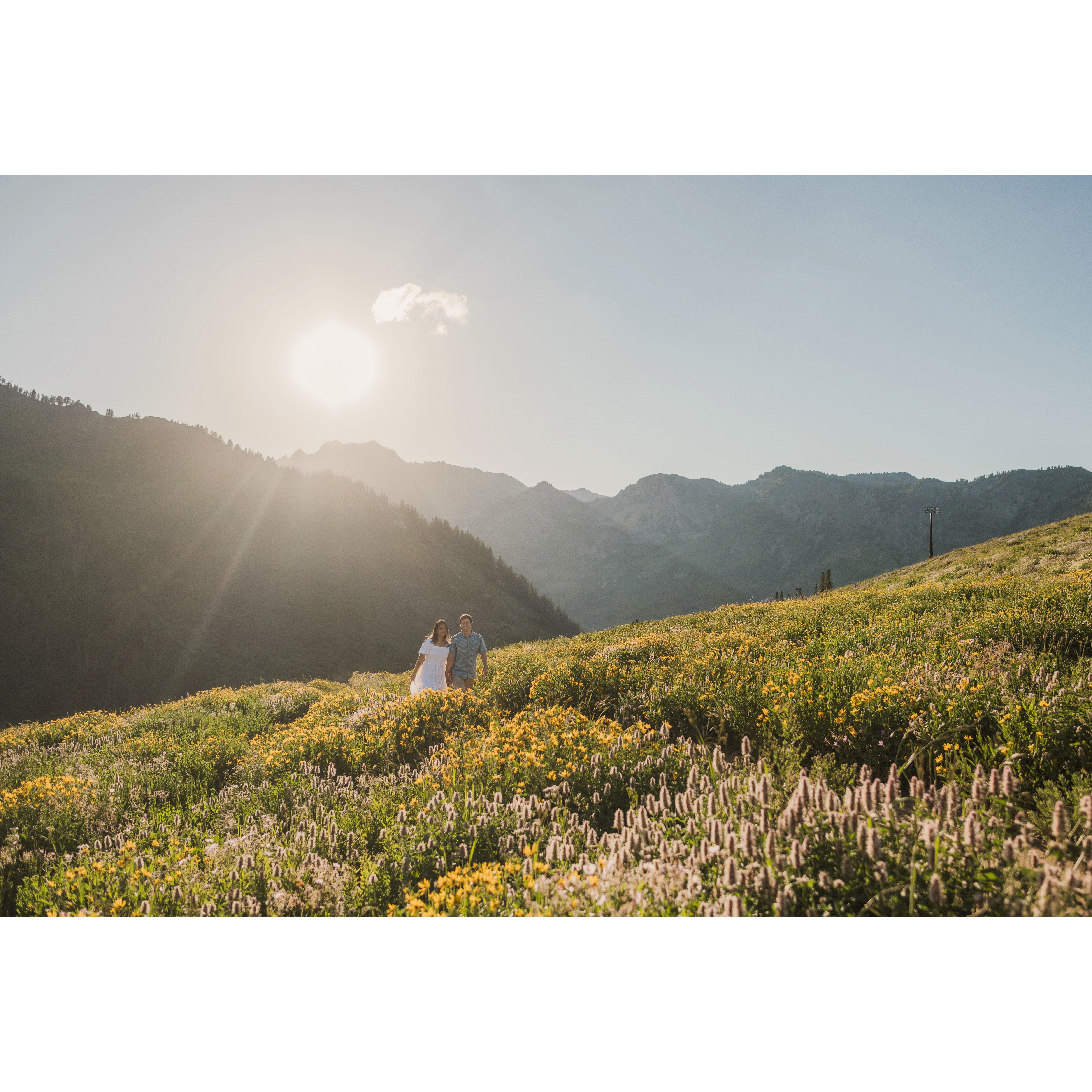 Albion Base: Engagement Shoot (2023)