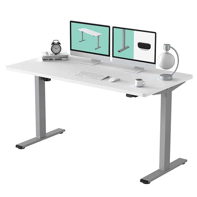FLEXISPOT EC1 55 x 28 Inches Electric Stand Up Desk Workstation, Whole-Piece Desk Board Home Office Computer Standing Table, Height Adjustable Desk Classic (Gray Frame + 55" White Top)