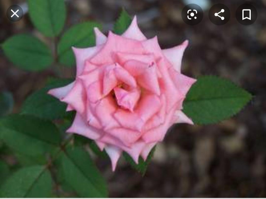 The Wedding Website of Colton Taggart and Cameron Kelly