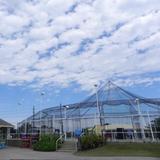 The Batting Cages