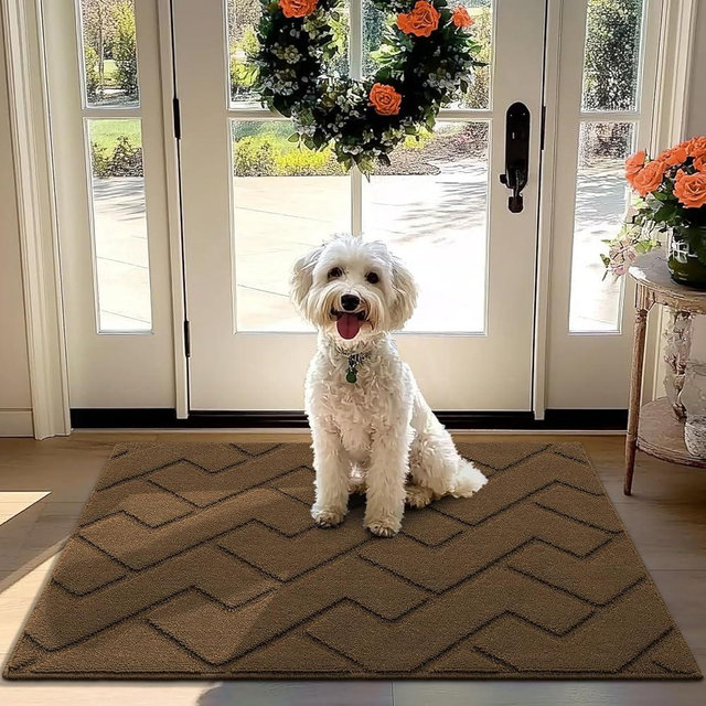 hicorfe Indoor Doormat,Front Back Door Mat Rubber Backing Non Slip Door Mats 32"x40" Absorbent Resist Dirt Entrance Doormat Inside Floor Mats for Entryway Washable Low-Profile(Dark Brown)