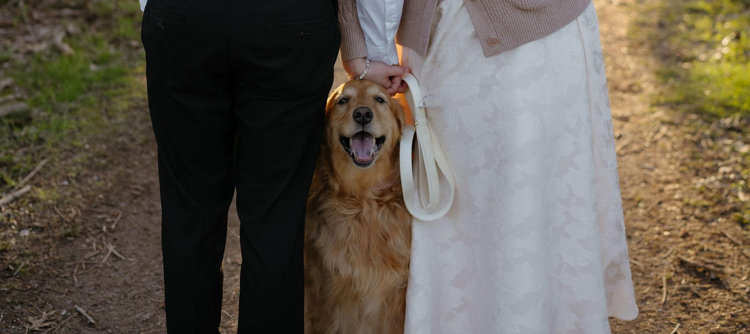 The Wedding Website of Samantha Scola and Matthew Appold