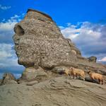 The Sphynx of Bucegi