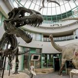 North Carolina Museum of Natural Sciences