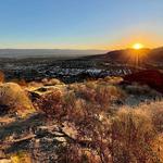 Additional Local Picks