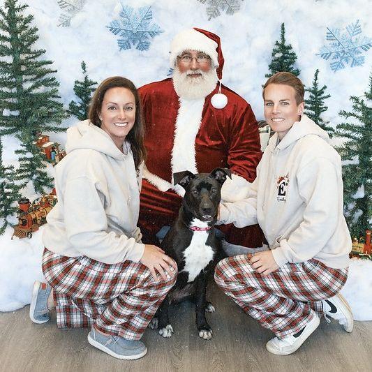 Cricket's first visit to see Santa, December 2025