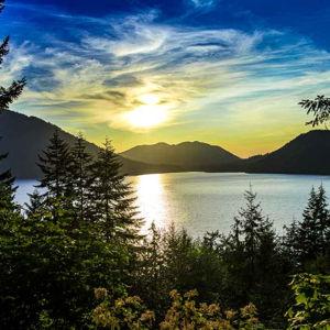 The Cotton's Honeymoon Fund - Destination Olympic National Park