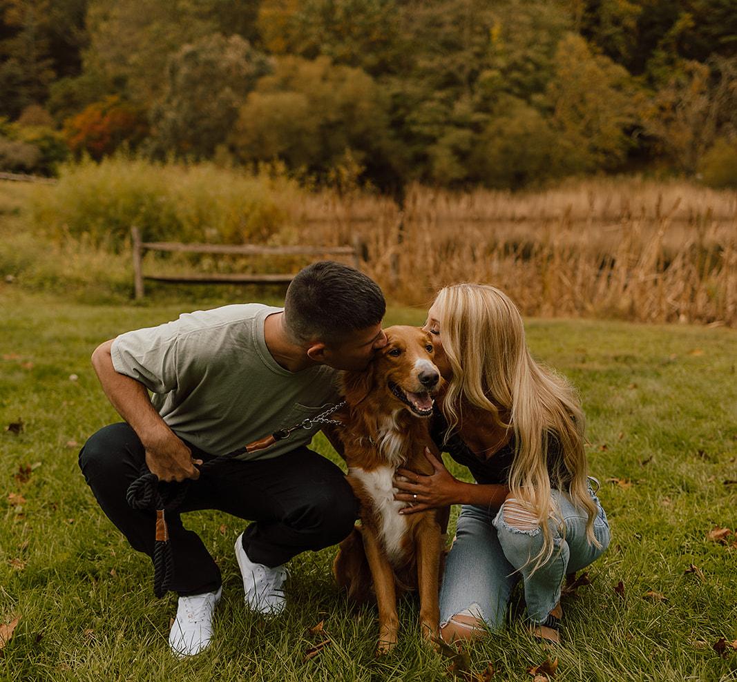 93d41ea9-94fc-444c-b29c-3a27ae39314b