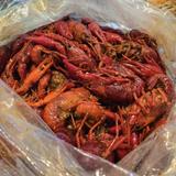 Deckhand Oyster Bar & Seafood