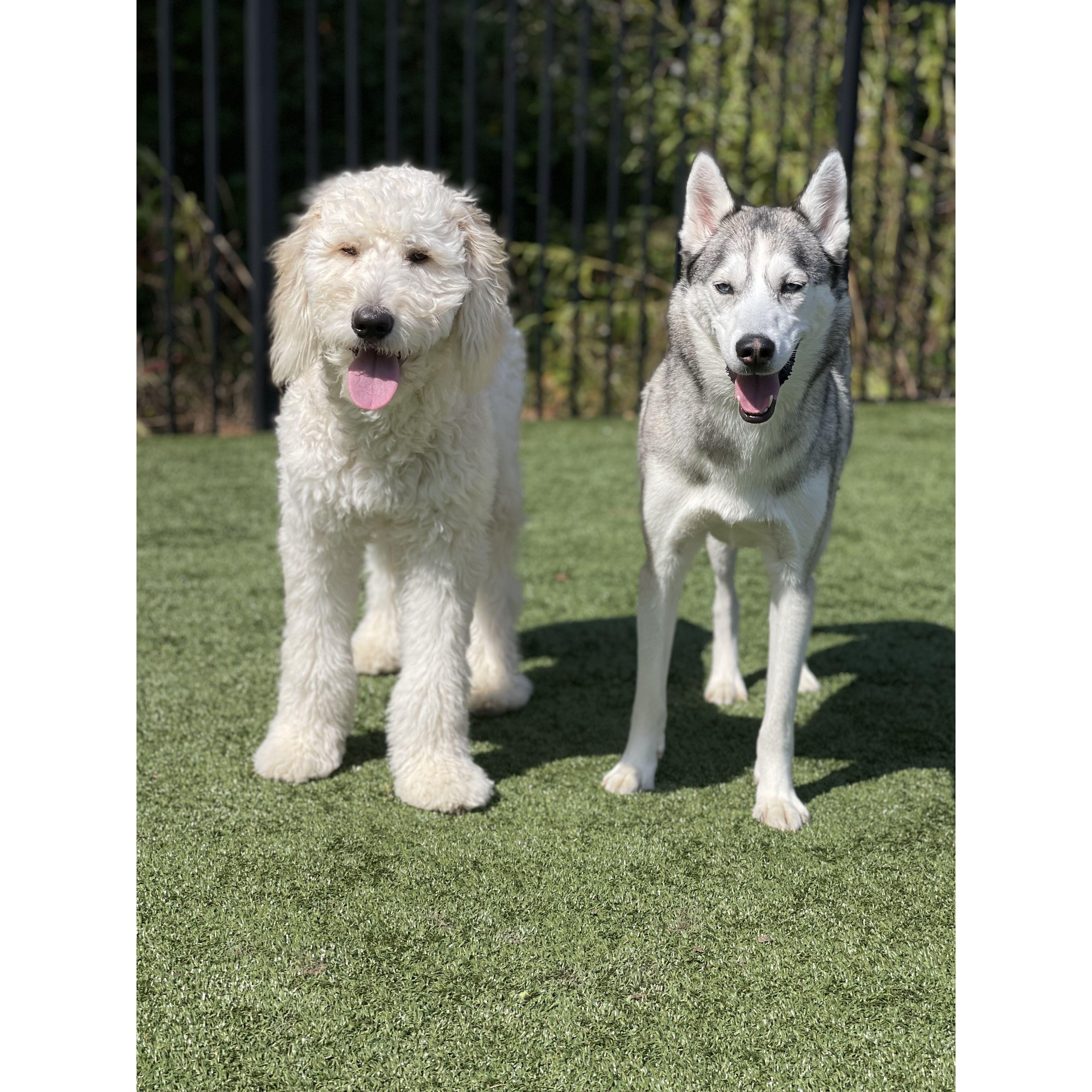 The loves of our lives!  - Honey Bun and Jojo Bobo