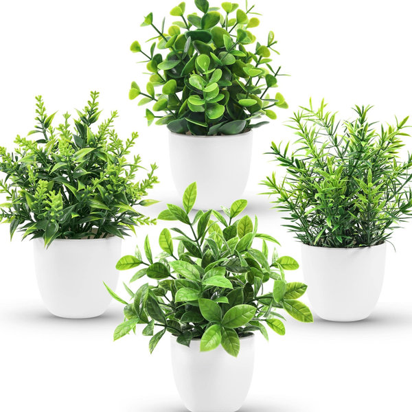 Plants (Small)