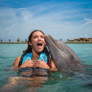 Dolphin Royal Encounter for 2 - Montego Bay