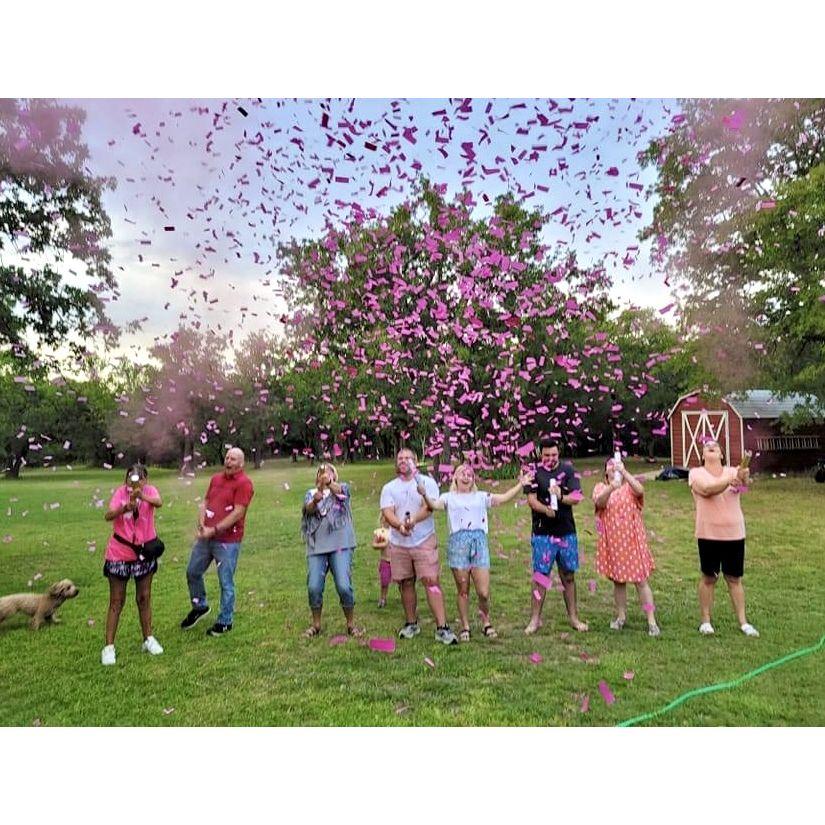 My sister's gender reveal in June