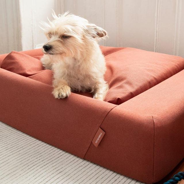 Tuft & Needle - Benny's New Dog Bed