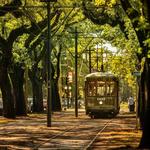 The Garden District