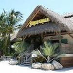 Sunset Grille & Raw Bar