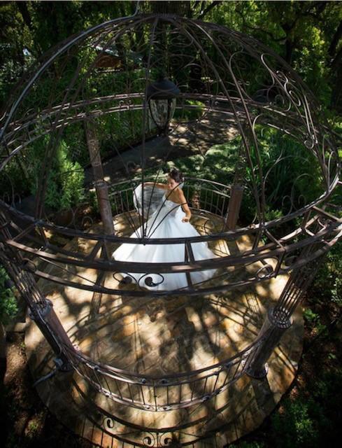 The Wedding Website of Edith Medina and Alex Atamian