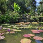 Fairchild Tropical Botanic Garden