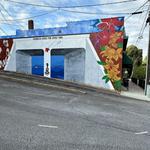 Explore Downtown Cornelia