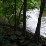 Housatonic River Walk