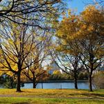 Rainey Park
