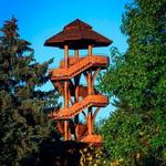 Cox Arboretum MetroPark