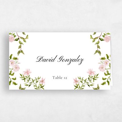 Light Pink Wedding Place Card - Villagio