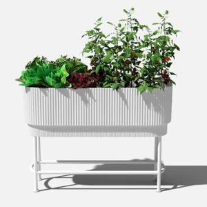 Demi raised garden bed (white)