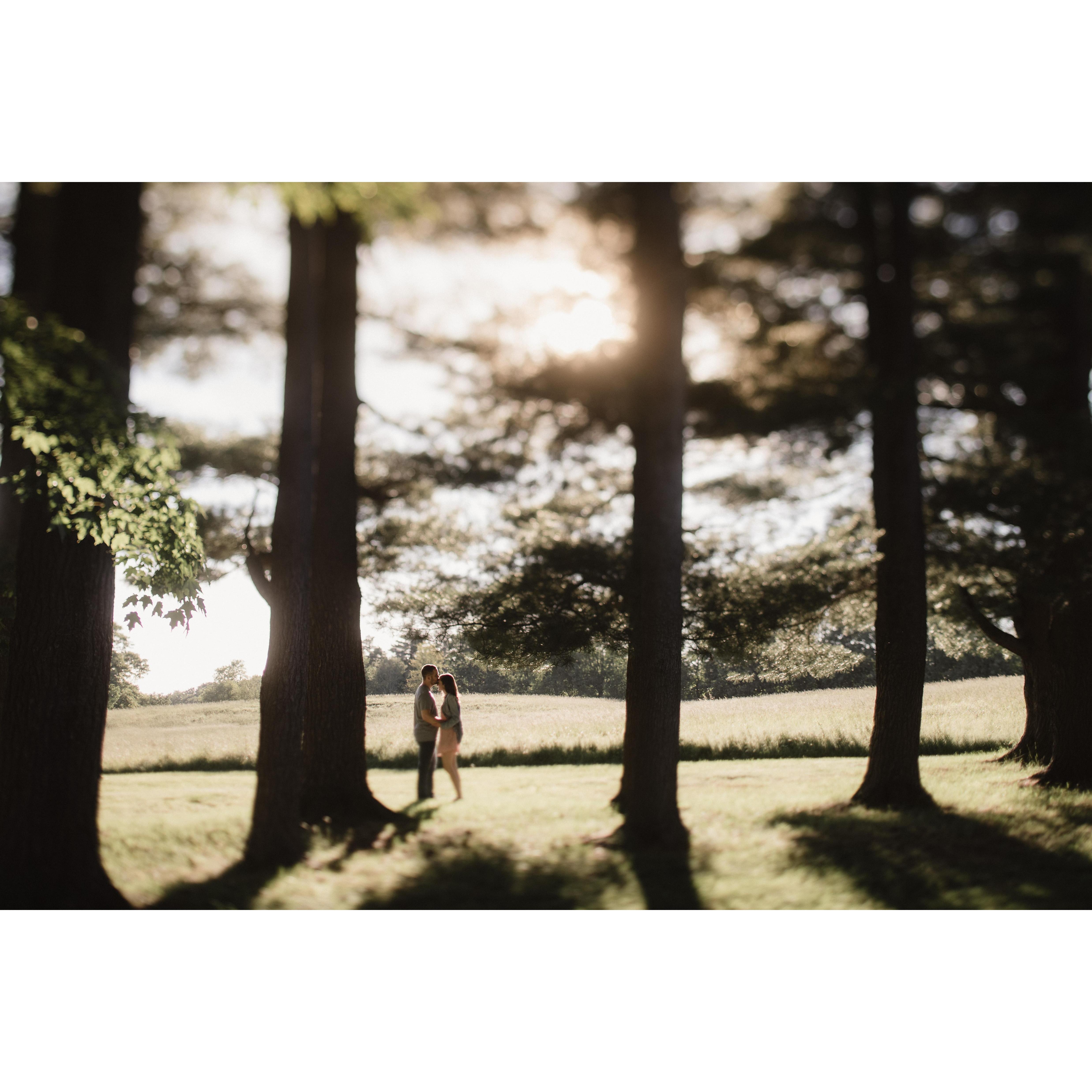 Engagement Shoot
