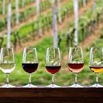Murphys Wineries
