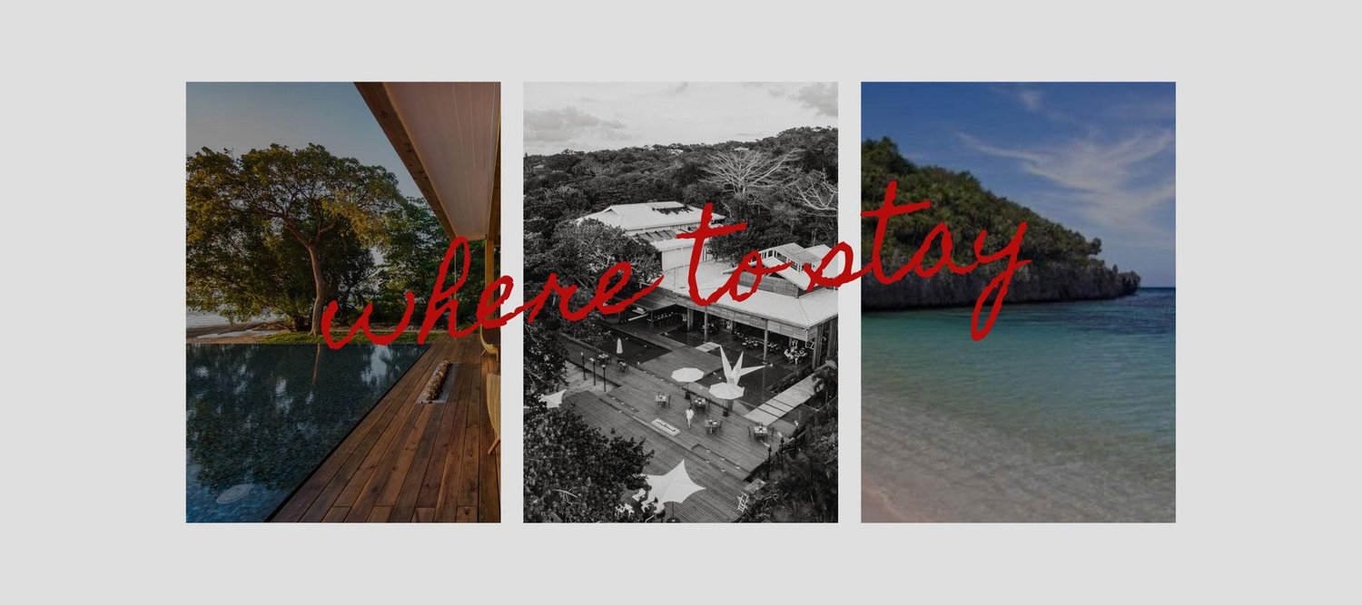 The Wedding Website of Alejandra Rivera and Carson Daschuk