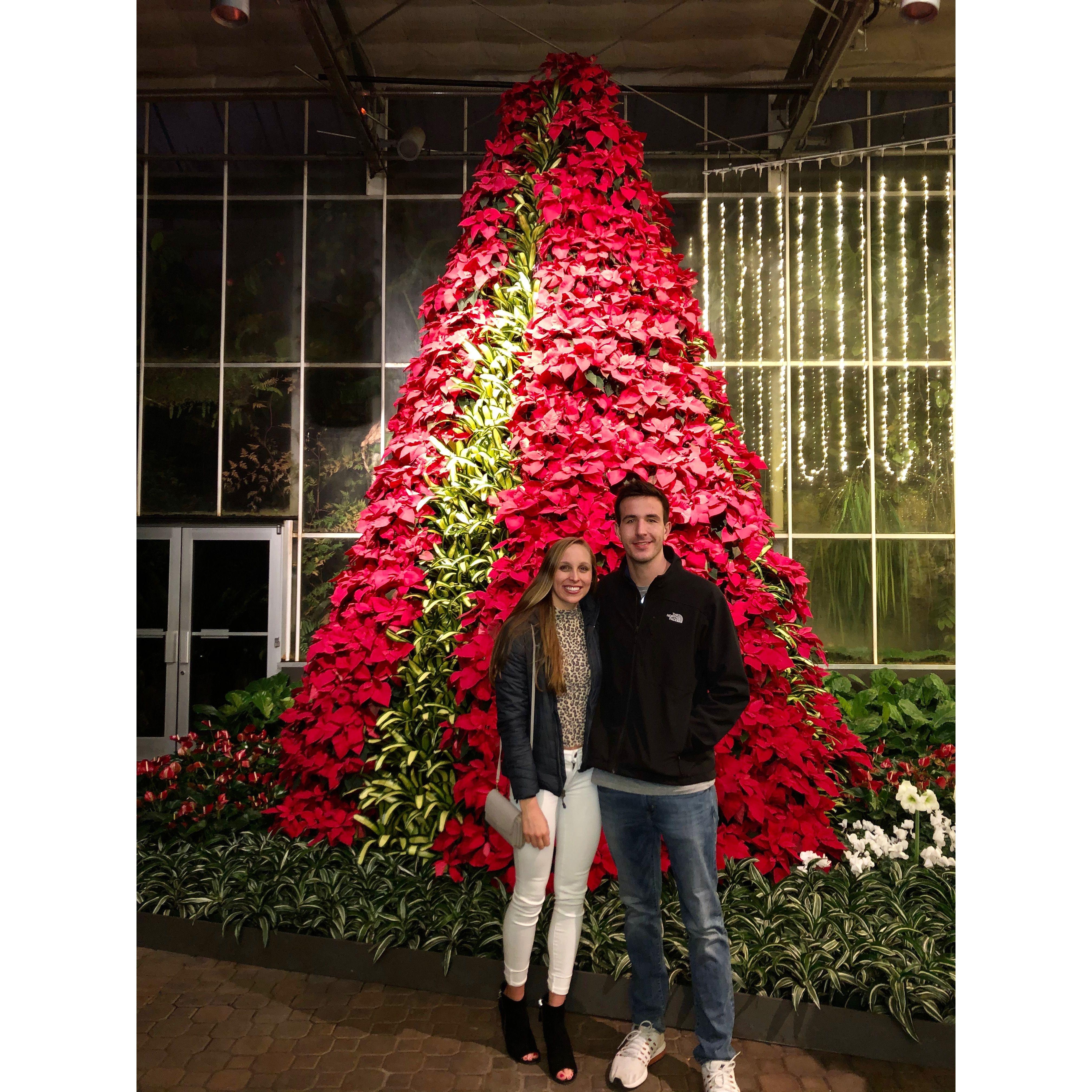 December 2019. Atlanta's Botanical Garden