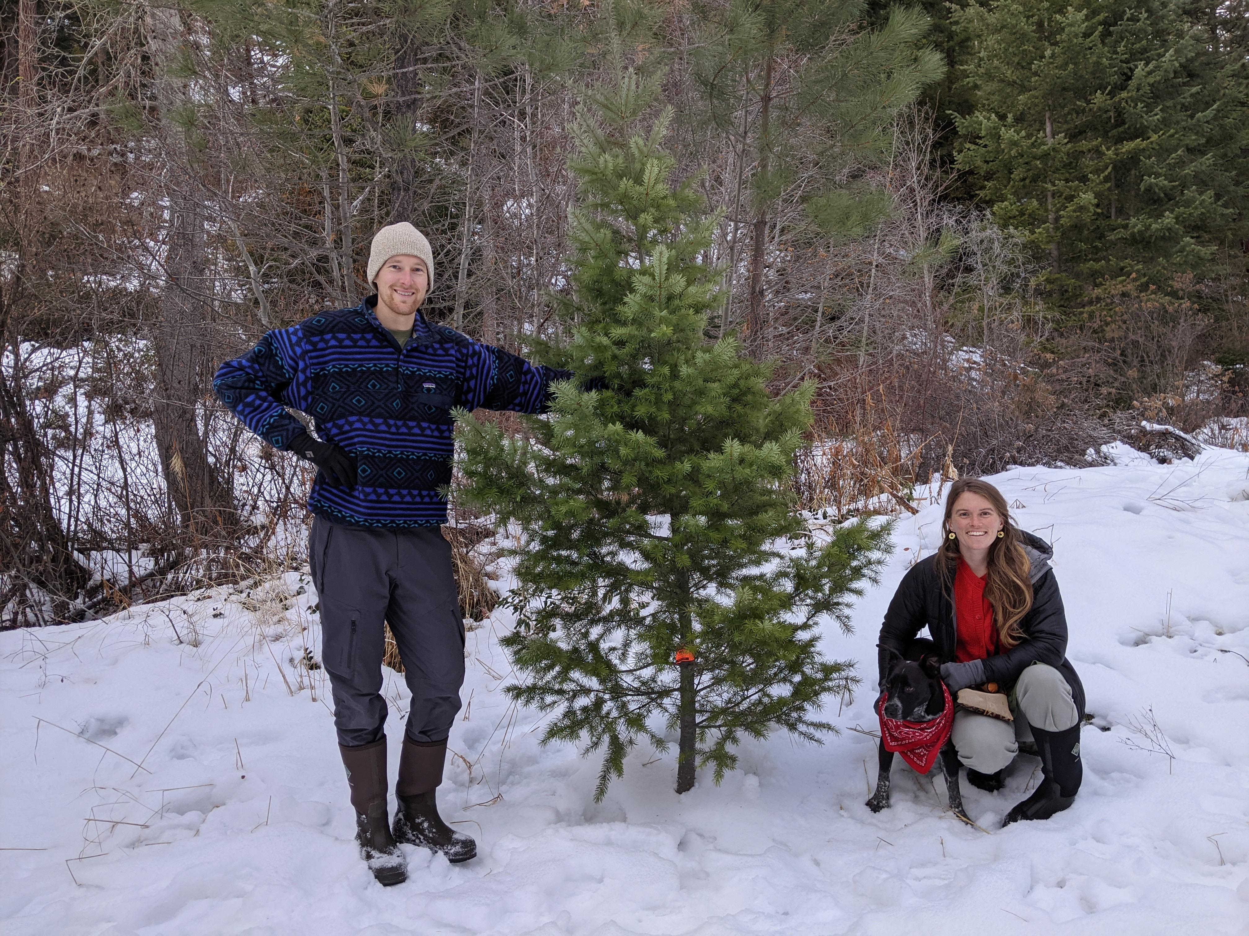 The Wedding Website of John Place and Rachel Bishop