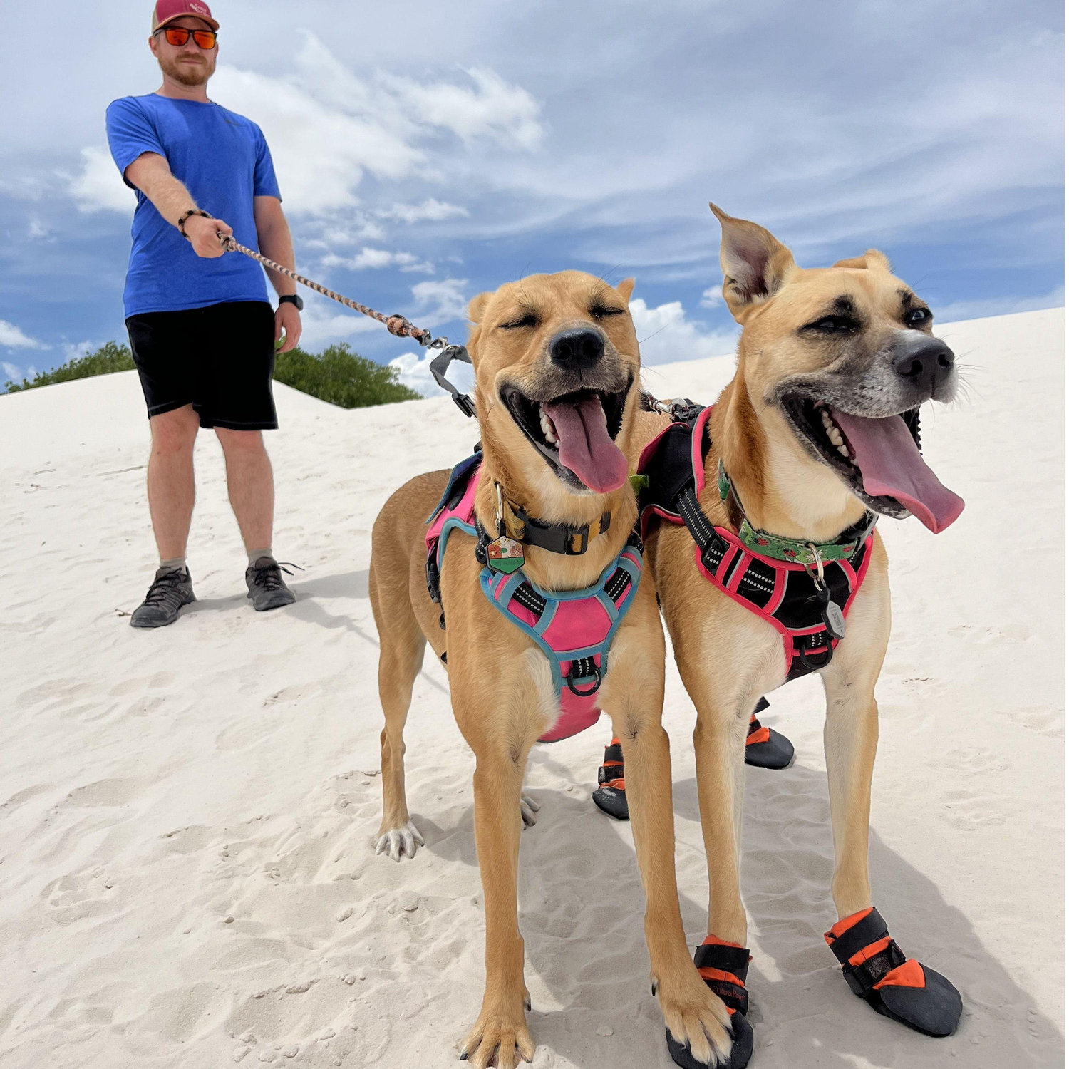 This was Bindi and Millie's favorite day ever, if you couldn't tell.