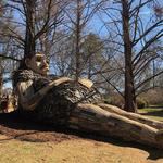 Bernheim Arboretum & Research Forest