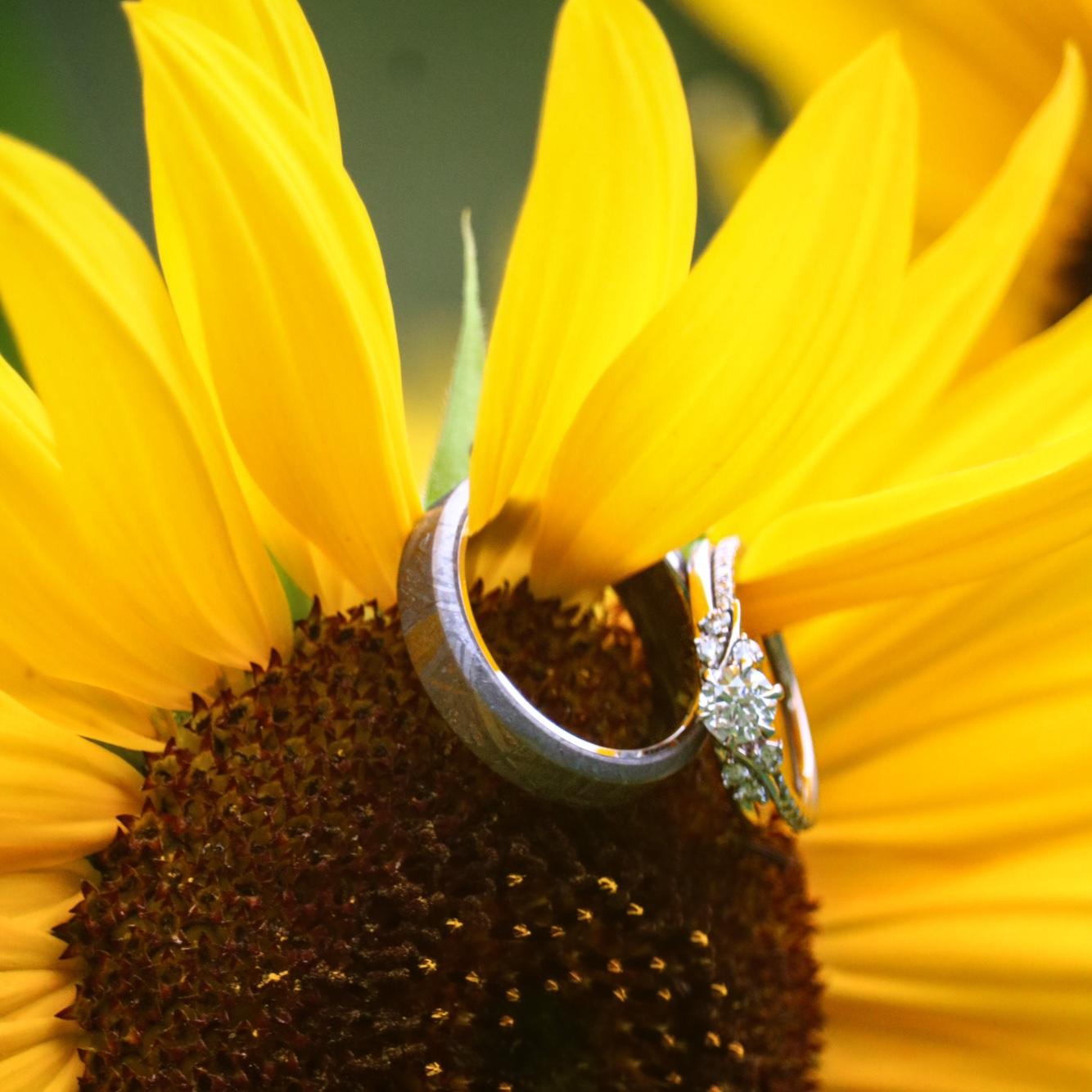 Our wedding rings 💍