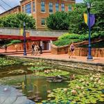 Carroll Creek Park