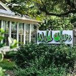 Wild Olive Restaurant