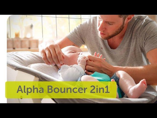 Hauck Alpha Bouncer 2in1