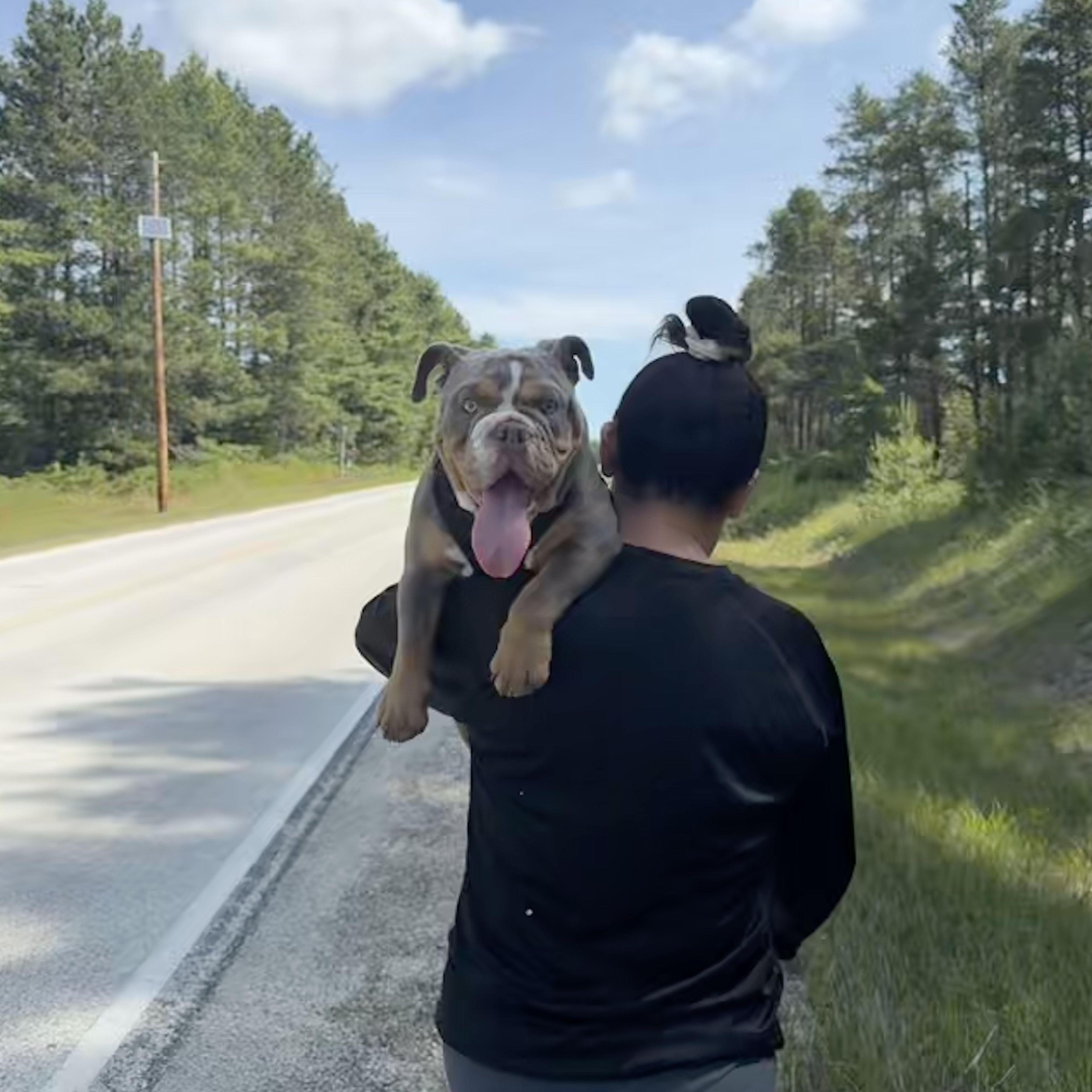 Our first time exploring Point Beach State Park (across our front yard) and Lexi had to carry a very tired Eleanor all the way back home.