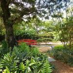 Miami Beach Botanical Garden