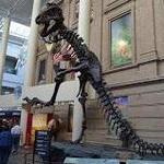 Denver Museum of Nature & Science