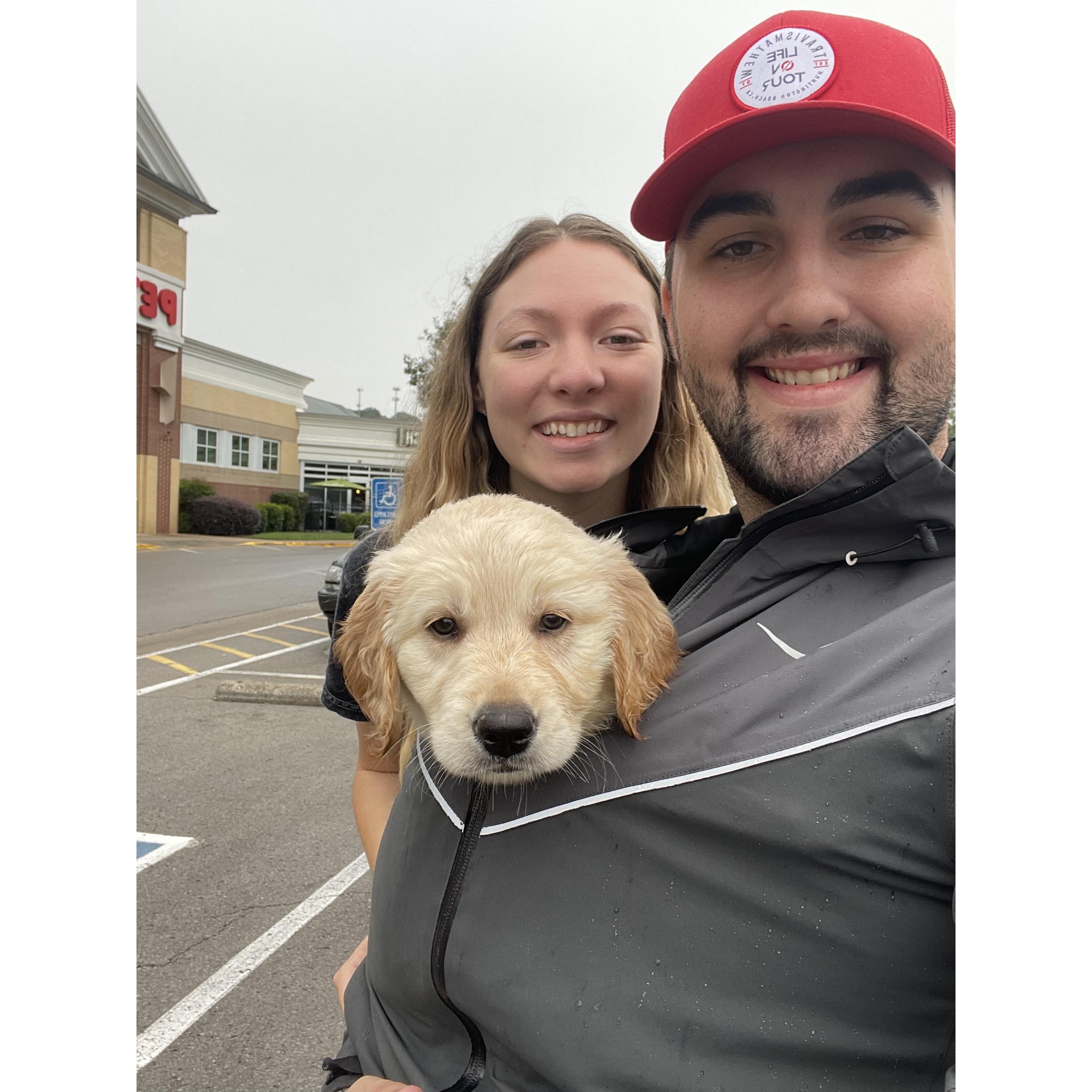 Dog parents of two