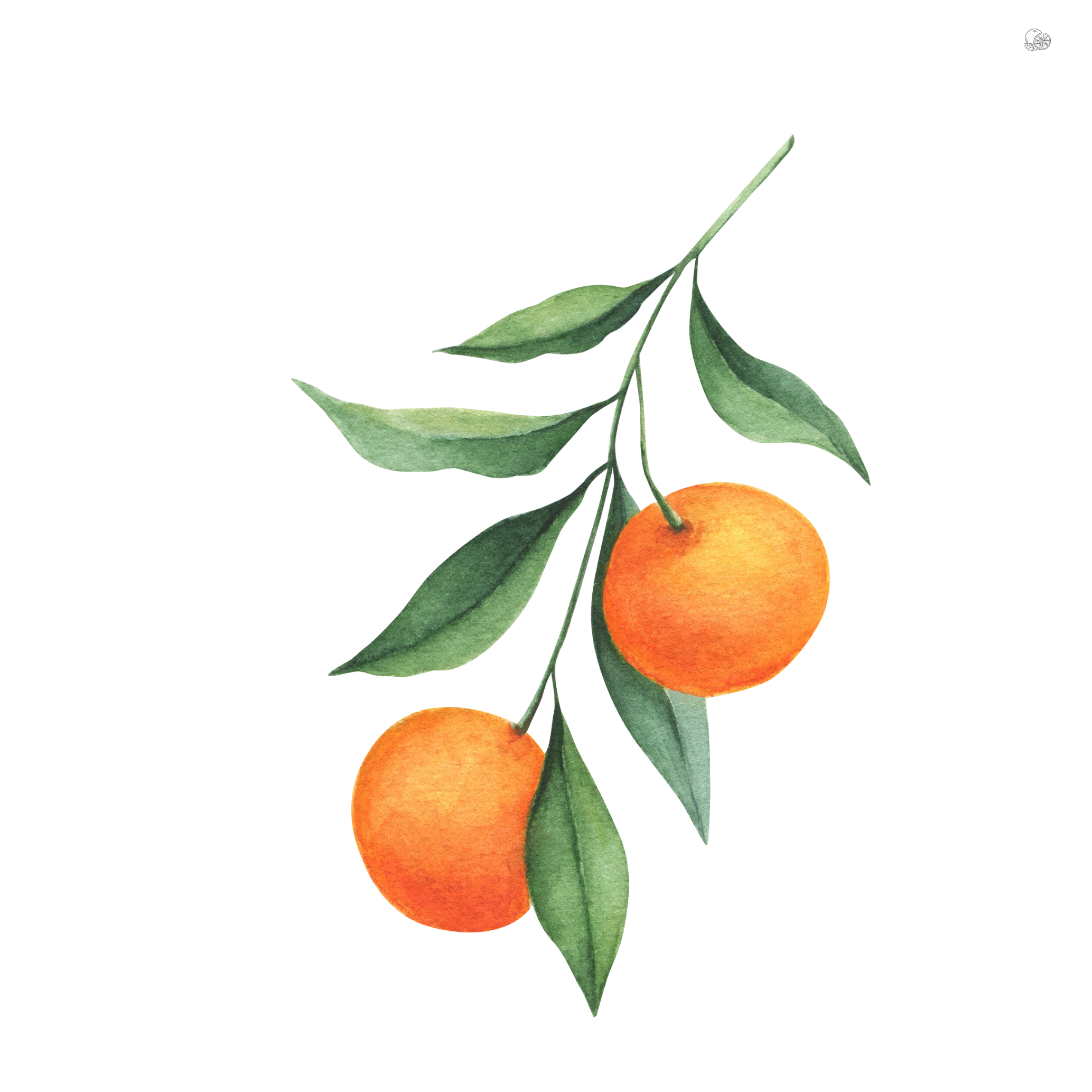 The Wedding Website of Victoria Brosilow and Michal Ojrzanowski