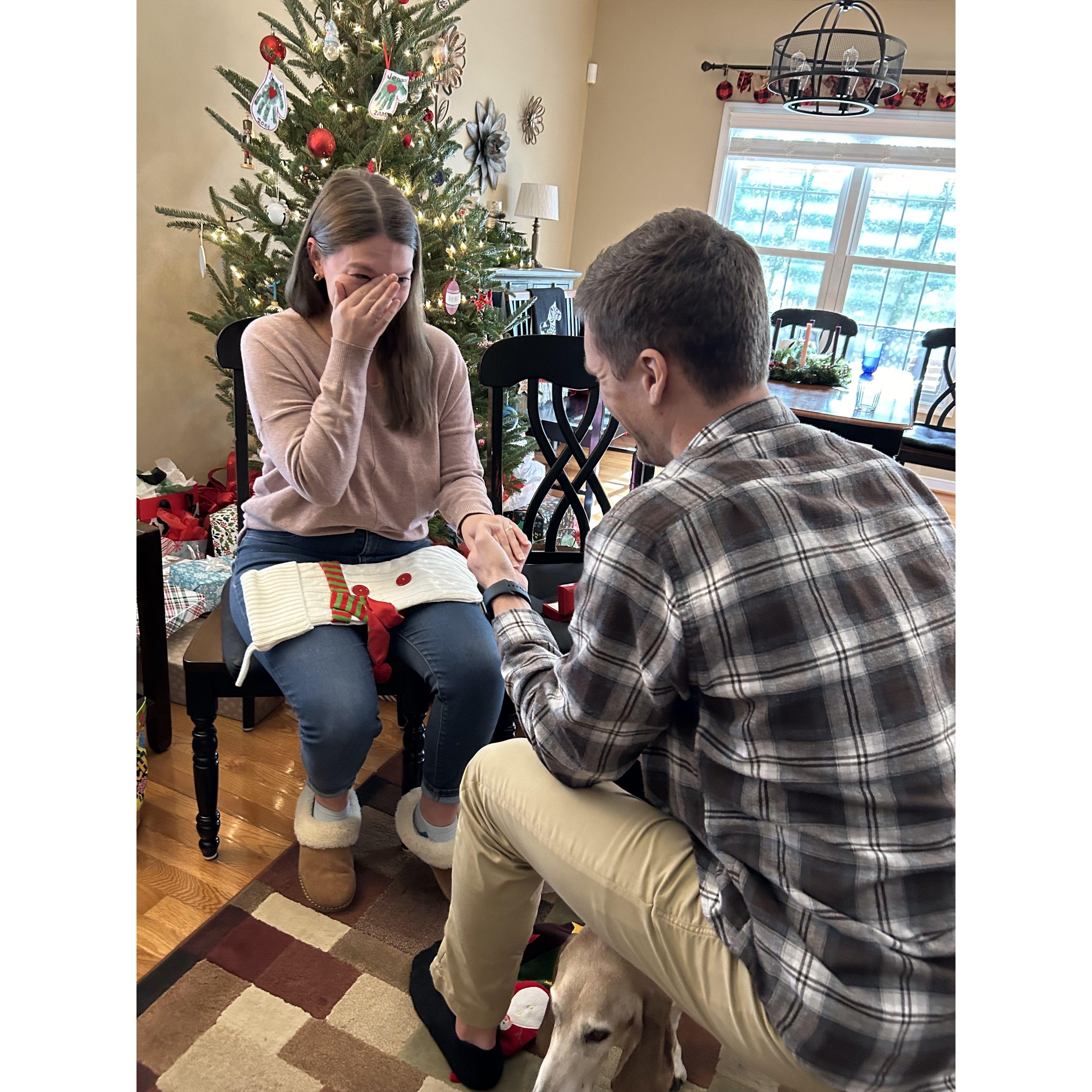 She said yes!! (and cried)