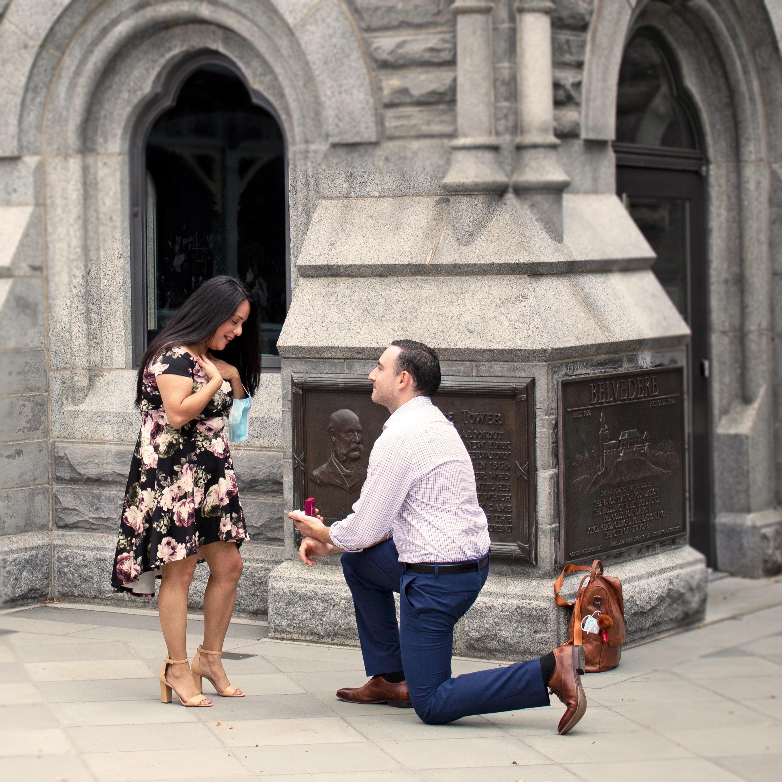 Central Park NYC proposal 8/22/2020