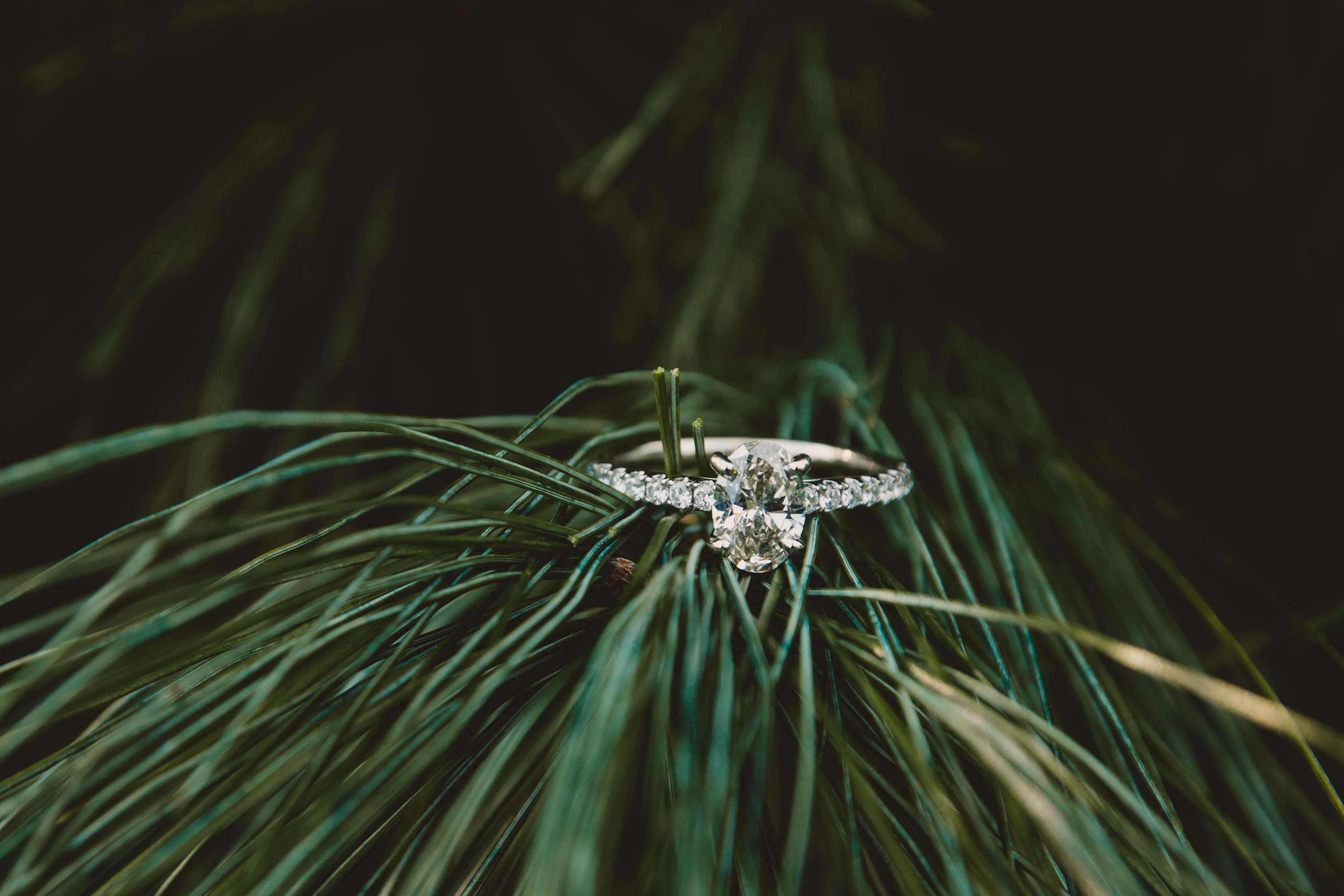The Wedding Website of Claire Moore and Austin Miner